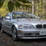 Take Leaves off Your Car As Soon as You Can